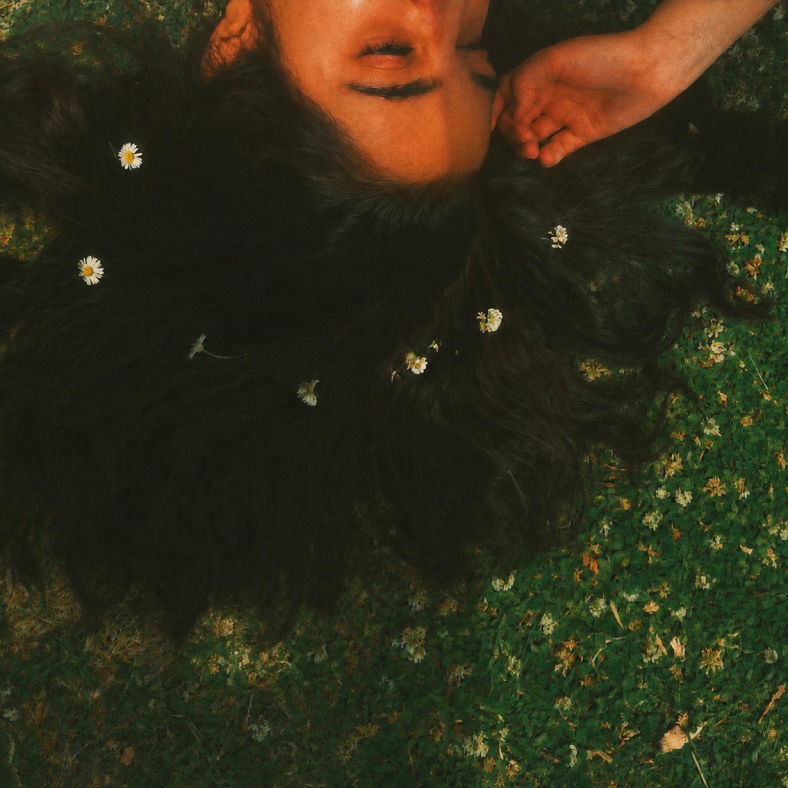 A woman reclining among flowers, artwork for the upcoming AYSH and Kaizen project